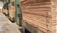 Khám phá công ty sản xuất ván ép phủ phim