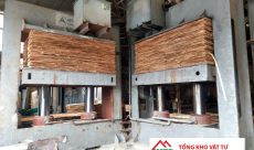 Quy trình sản xuất ván ép chà dán