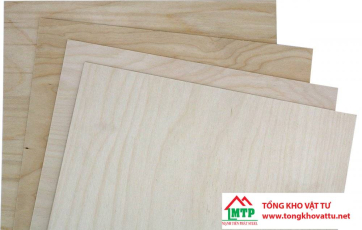 Hành trình tạo nên ván ép Birch cao cấp