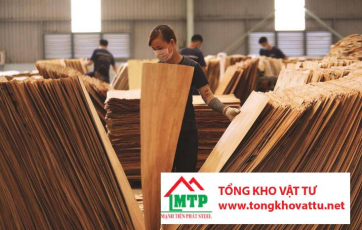 Tại Sao Phải Phơi Khô Độn Trước Khi Sản Xuất Ván Ép?