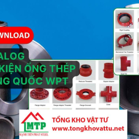 Catalog Phụ Kiện Ống Thép Trung Quốc WPT