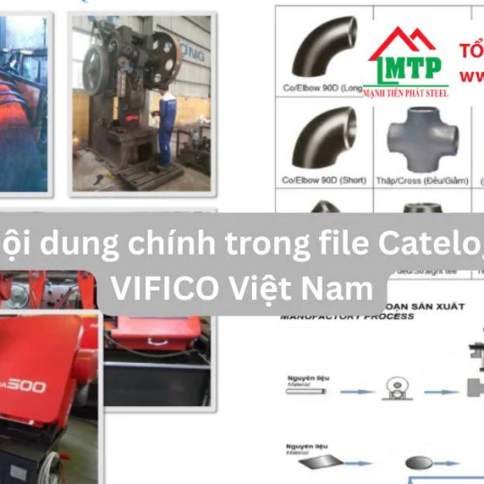 Catelog phụ kiện ống thép VIFICO Việt Nam